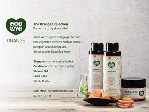 Natural Conditioner, Shampoo & Mask for Dry, Damaged Hair | Vegan, SLS-Free, 17.6 oz - Carrot & Pumpkin Extract