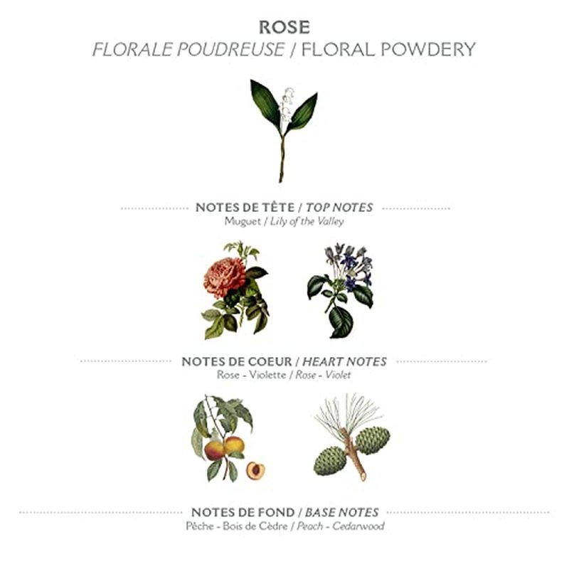 Panier des Sens ? Rose Hand & Body Lotion for Dry Skin - Hydrating Body Cream for Women - Nourishing Fluid Body Moisturizer Shea Butter & Olive Oil - 97% Natural Ingredients Body Care - 8.45 Floz