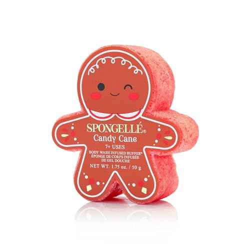 Spongelle Holiday Gingerbread Assorted Pack