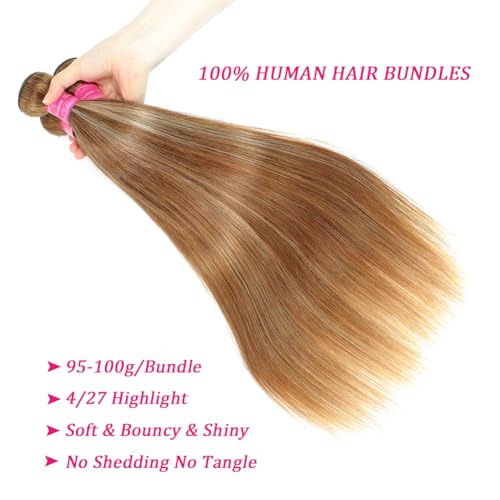 Beautymoon Ombre Raw Straight Bundles 18 20 22 Inch Brazilian Straight Hair Bundles 100% Unprocessed Virgin 4/27 Highlight Honey Blonde Weave Bundle Human Hair
