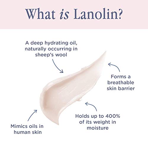 Lanolips 101 Ointment - Lanolin Lip Balm for Smooth, Hydrated & Healthy Lips - Multipurpose Lip Ointment with Lanolin Oil for Dry Lips, Cuticles & More - Coconutter (0.35 oz)