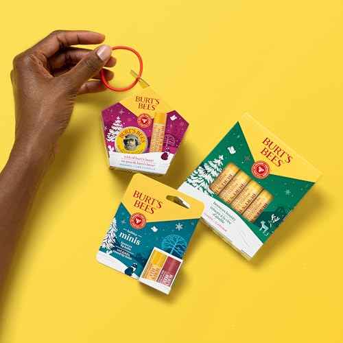Burt¡¯s Bees Holiday Minis Lip Balm Gift Set, Natural Origin Lip Care, 2 Tubes, 0.049 oz.