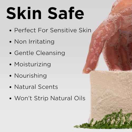 Sumbody USA Made Handmade Soap Bar (6pk) Rich Hydration Dry, Sensitive Skin, Moisturizing Soap For Face, Hands, Body Self Care Gift Set Men & Women - Goat Milk Citrus Vanilla Coconut Variety Pack