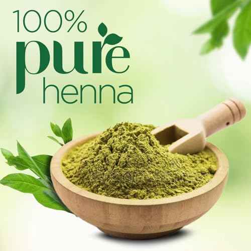 Godrej Nupur Henna Mehndi | 500 gram(17.64 Ounce) | Pack of 1