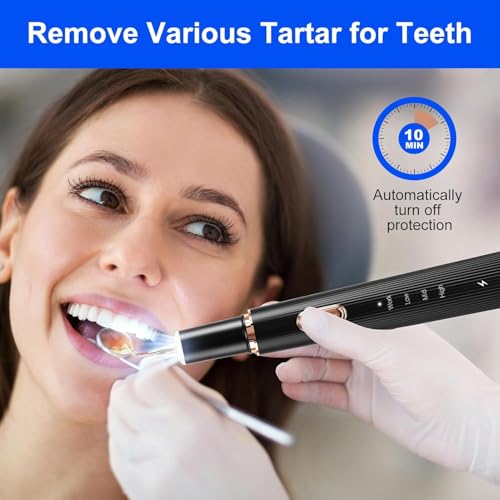 Plaque Remover for Teeth, Tartar Remover for Teeth Cleaning with 4 Replaceable Heads and 3 Adjustable Modes, Rechargeable Teeth Cleaning Plaque Remover for Home