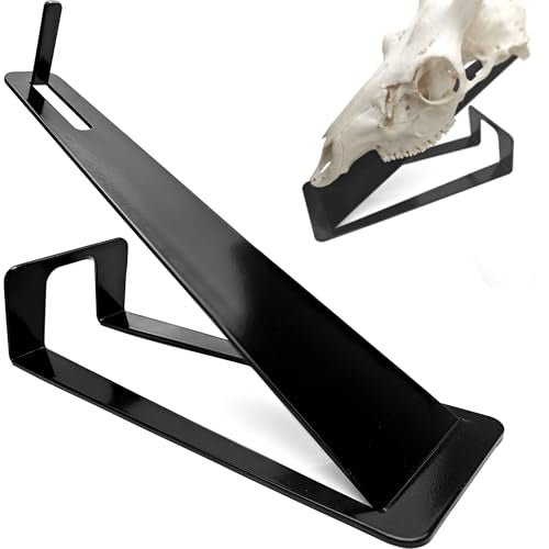VMSIXVM European Mount Skull Hanger Stand, Heavy Duty Table Top Skull Hanger for Deer Head, Pronghorn and Other Smaller Animals, Euro Mount Taxidermy Deer Head Hooker for Desk Shelf Display