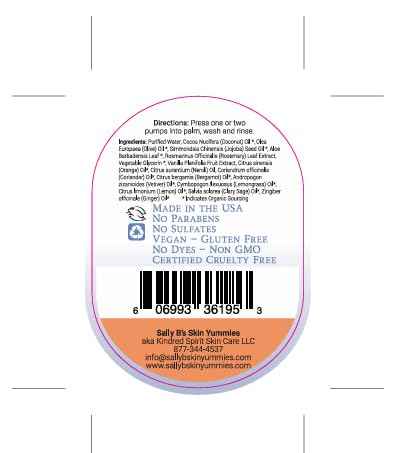 Sally B's Citrus Vanilla Foaming Hand Soap - Wash for Dry Skin and Redness Relief/EWG Verified/ 8.5 OZ(Citrus Vanilla)