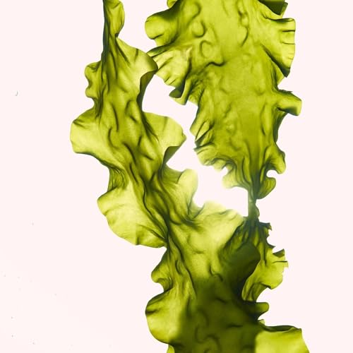 ANNEMARIE B?RLIND - SYSTEM ABSOLUTE Firming Beauty Fluid - Toning Bogbean and Lady's Mantle Serum - Strengthens, Smooths and Plumps Skin - 1.69 Fl. Oz.