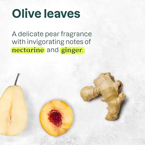 ATTITUDE Body Cream, EWG Verified Moisturizer, Vegan Moisturizing Products For Dry Skin, Dermatologically Tested, Olive Leaves, 8 Fl Oz