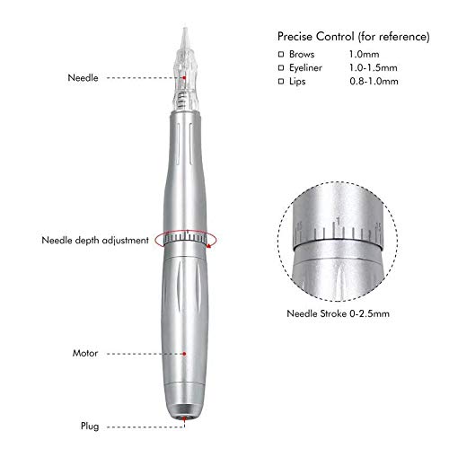 Permanent Makeup Tattoo Machine-BIOMASER Permanent Makeup Eyebrow Tattoo Machine Kit with Foot Pedal Touch Control Power Supply Rotary Tattoo Machine Pen Practice Skin 10pcs Cartridge Needles(Silver)¡¦