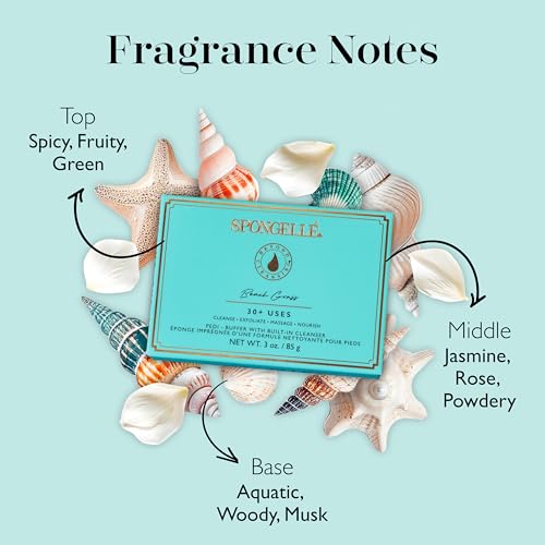 SPONGELL? Pedi-Buffer - Cleanse, Exfoliate & Polish Feet - Beach Grass