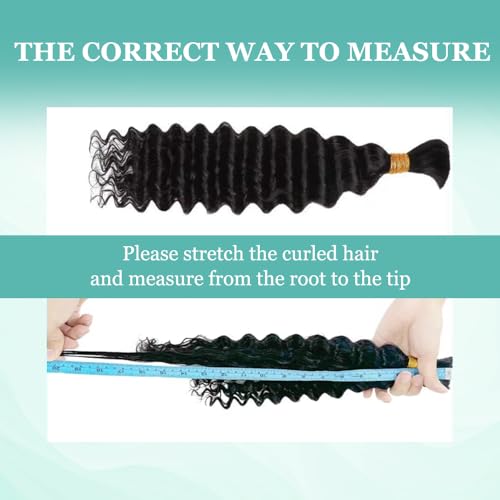 Human Braiding Hair 150g 14 Inch 6 Bundles/Pack Human Hair Braiding Hair No Weft Deep Wave Bulk Human Hair for Braiding Hair Extensions for Boho Braids Wet and Wavy P4/27#