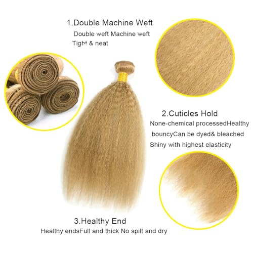 Honey Blonde Human Hair Color 27 Kinky Straight Bundles Unprocessed Brazilian Virgin Hair 12 14 16 Inch Color 27 Bundles Human Hair