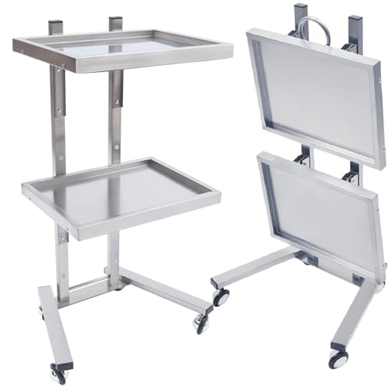 2 Tier Metal Rolling Cart, Stainless Steel Salon Tray with Wheels, Foldable Utility Carts, Folding Salon Tray Trolley, Rolling Tray Salon Trolley for Tattoo (Silver)