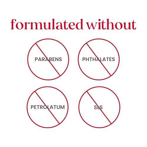 Burt¡¯s Bees Holiday Minis Lip Balm Gift Set, Natural Origin Lip Care, 2 Tubes, 0.049 oz.