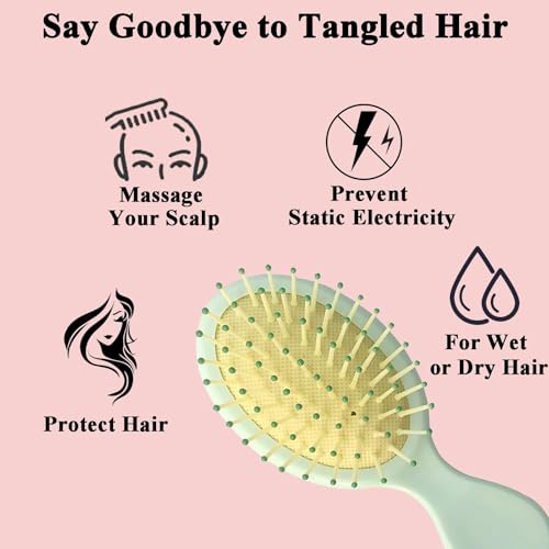 12 Pack Mini Hair Brush Bulk, Wet Hair Brush for Travel, Mini Brush for Most Hair Types, Travel Brushes, Bridesmaid Gifts