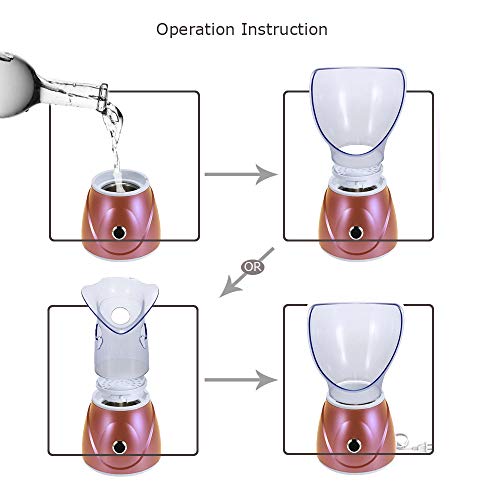 Hann Facial Steamer Professional Sinus Steam Inhaler Face Skin Moisturizer Facial Mask Sauna Spa Steamers with Aromatherapy Diffuser Humidifier Function (Pink)