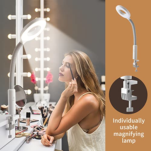 Winado 2 in 1 Facial Steamer with 5X Magnification Light, Deep Cleaning for Personal Skin Care, Beautician Steamer Professional Humidifier Facial Spa Mist Steam for Home & Beauty Salon, White