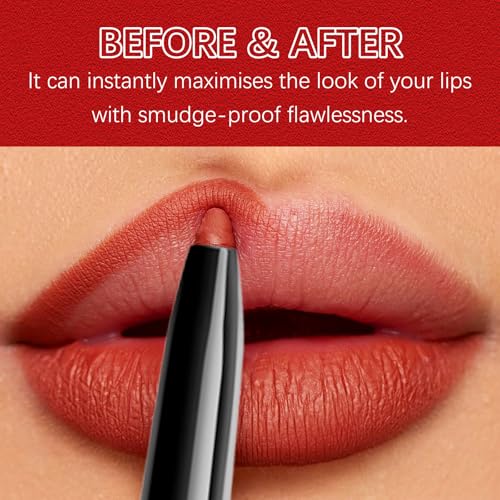 QueenDiary Lip Gloss and Liner Makeup Set, Lifter Gloss and Lifter Liner in Petal and Line Leader Shades (Lively and dynamic)