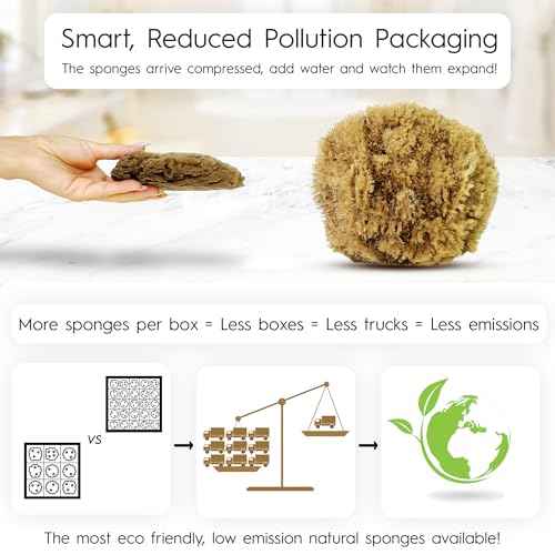 Naroa Exfoliating Natural Sponge for Shower | Bath Sea Loofah for Healthy Skin | Unbleached Bathing Body Scrubber Puff | Sustainable Plastic Free (Small)
