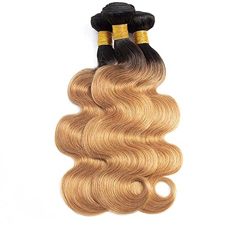 Ombre Bundles 1B27 Honey Blonde Bundles Body Wave Human Hair Grade 8A Black And Honey Blonde Human Hair Wet and Wavy Hair (26 28 30) inch