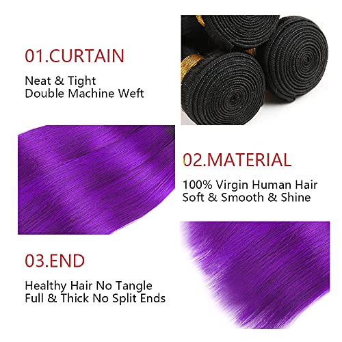 Ombre Purple Straight Bundles Black To Purple Human Hair 3 Bundles Brazilian 100% Unprocessed Virgin Extensions Double Weft Bundle 10 12 14 Inch