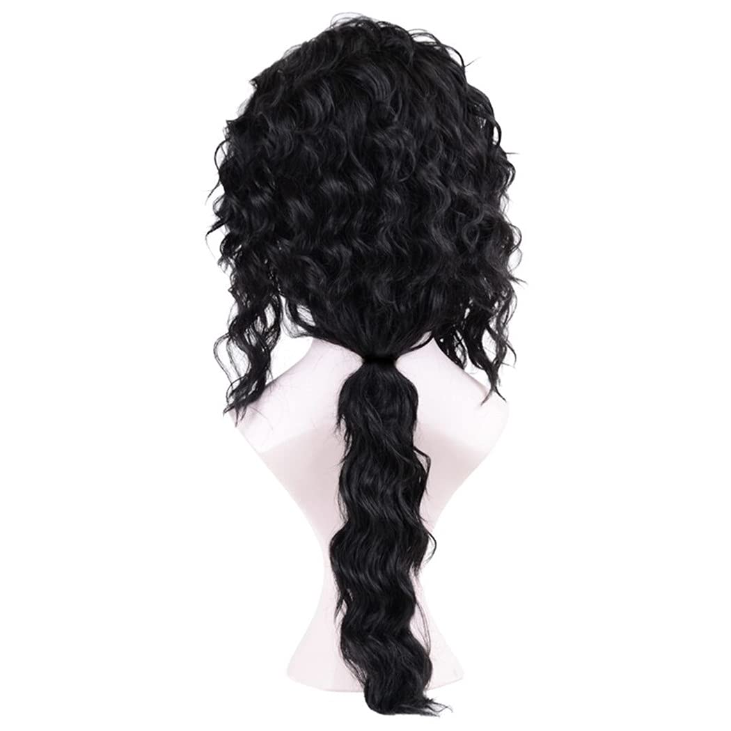 Ruina Black Wigs for Costume Men 70s 80s Costume Wig Long Curly Wavy Black Hair Metal Rocker Wigs with Wig Caps R022BK