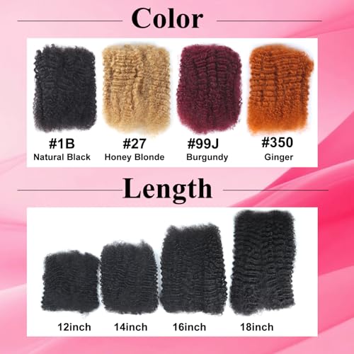 Afro Kinkys Bulk Human Hair for Braiding 2 Bundles 16 Inch 100g Afro Kinky-Curly Human Hair Bulk for Twist No Weft 4c Kinky Curly Bundles for Braids Micro Locs Dreadlock Extensions Nature Black