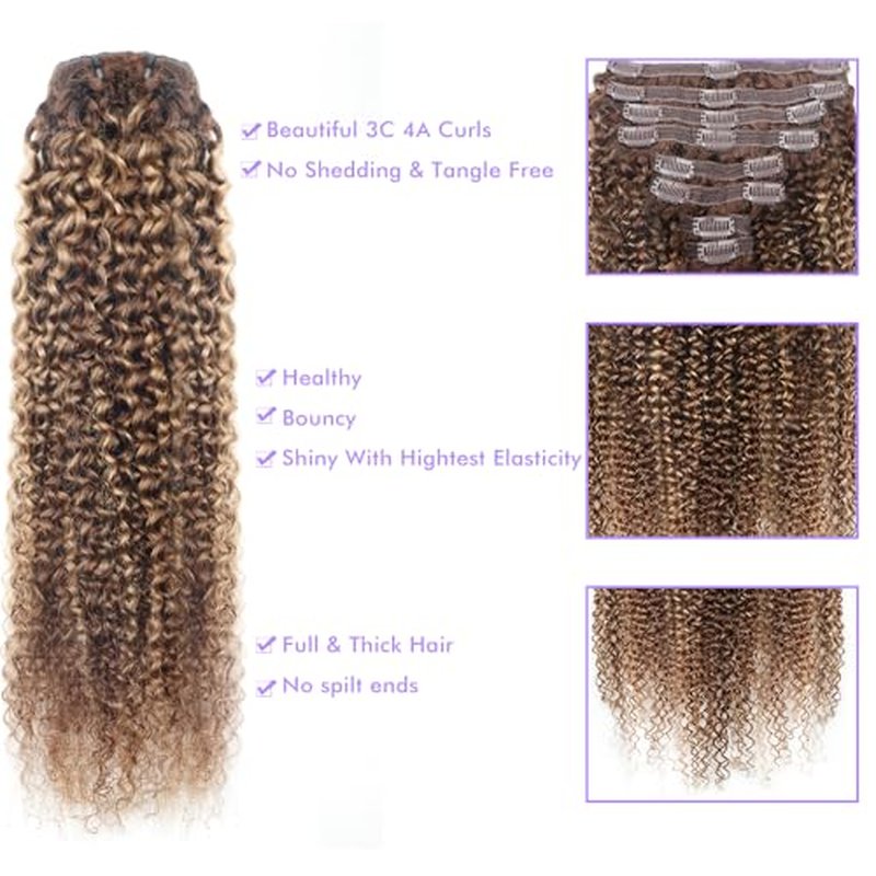 Curly Clip In Hair Extensions Real Human Hair Clip Ins Balayage Chocolate Brown to Caramel Blonde Human Hair Extensions 8Pcs with18clips 120g/Set (24 inch£¬#4/27/4)