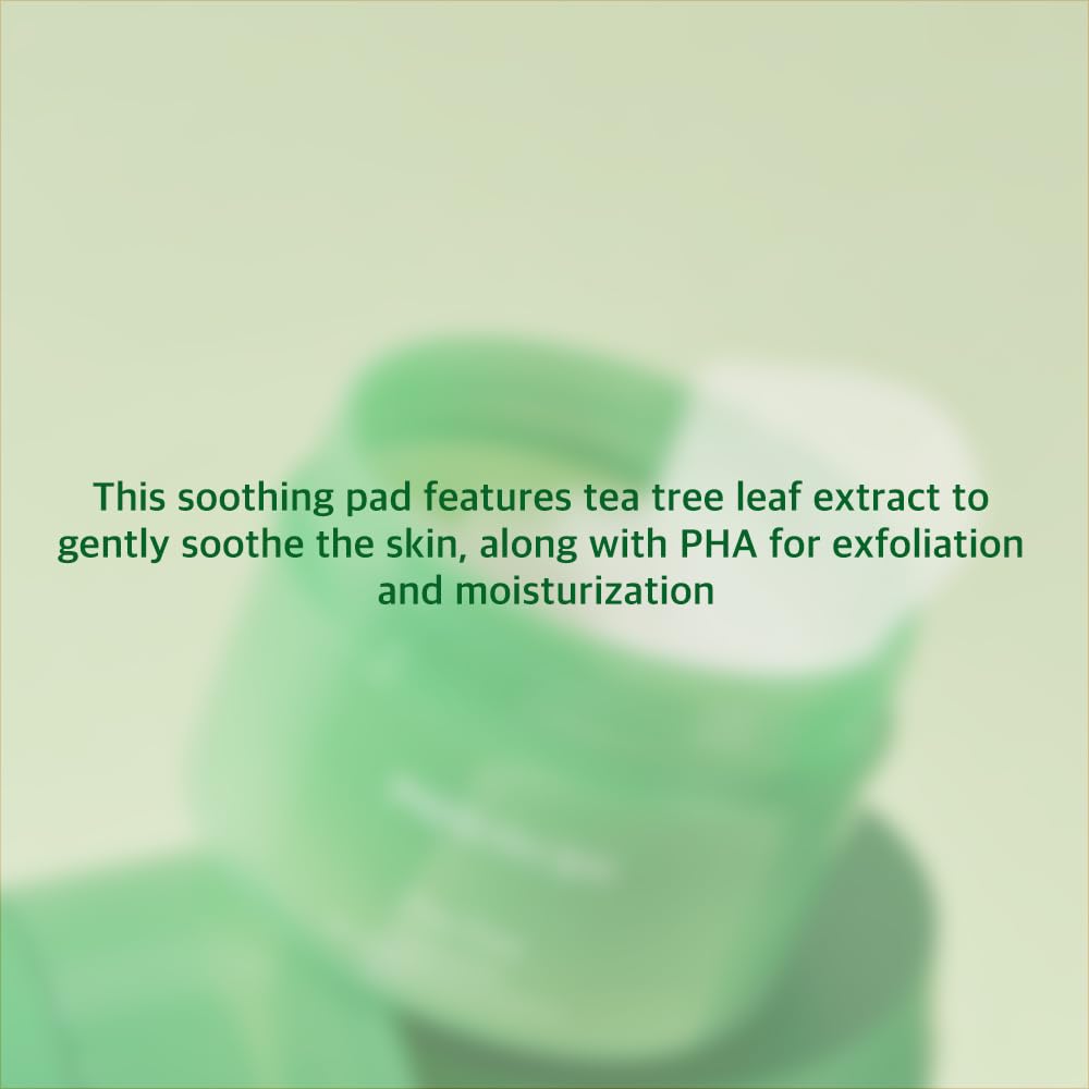 Papa Recipe Tea Tree Soothing Toner Pads (70 Sheets) – Calming Exfoliating Pads with PHA for Clearer, Balanced Skin – Korean Skincare