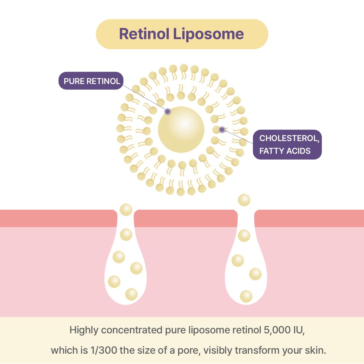Retinol Liposome Lifting Serum - Anti-Wrinkle & Firming | 30ml Korean Skincare