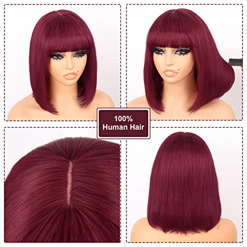 G&T Wig 99J Burgundy Straight Human Hair Lace Bob Wig With Bangs Realistic Look 2x1 HD Lace Glueless Wigs Blunt Cut 12 Inch Short Straight Human Hair Wigs for Black White Women