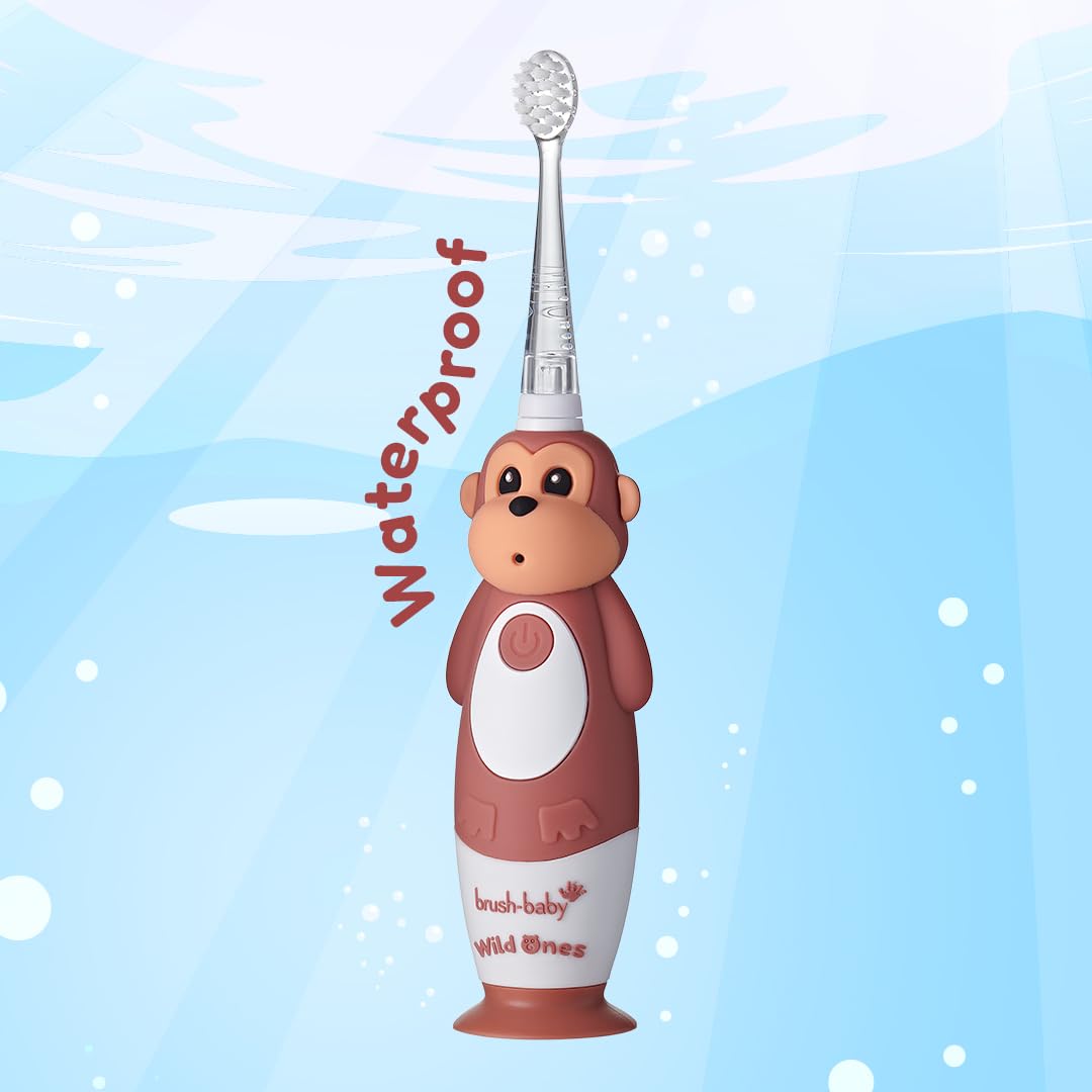 BrushBaby - WildOnes - Kids Rechargeable Electric Toothbrush, Ages 0-10 - Koala Design with Flashing Lights - DeepClean Bristles for Superior Cleaning - 2 Replacement Brush Heads, 1 USB Cable
