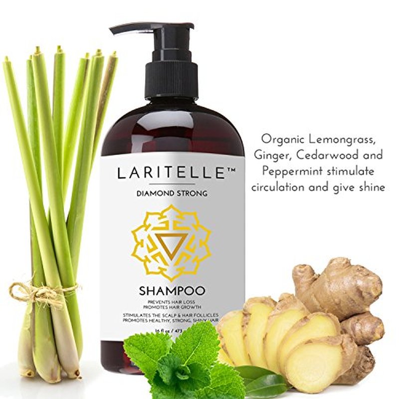 Laritelle Organic Shampoo 17 oz + Conditioner 16 oz | Prevents Hair Loss, Promotes Hair Growth | Argan Oil, Rosemary, Ginger & Cedarwood | NO GMO, Sulfates, Gluten, Alcohol, Parabens, Phthalates