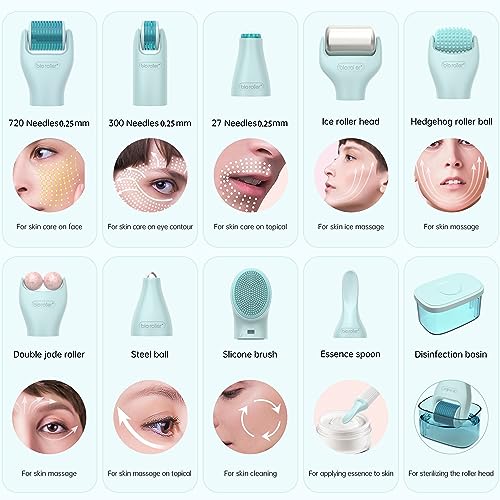 10 in 1 Derma Roller Kit, 0.25mm Microneedling Roller Microneedle Derma Roller with, Facial Beauty Roller Skin Care Tools, 10 Replaceable Heads and Storage Case