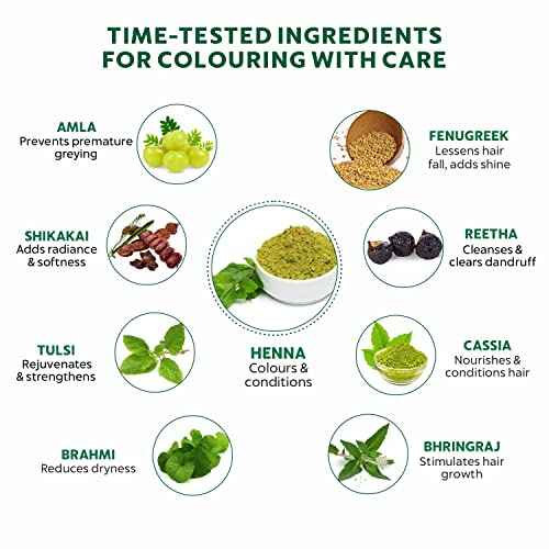 INDUS VALLEY Bio Organic Herbal Henna Powder (100g), 100% Pure Henna Hair Colour, 100% Natural Hair Dye Chemical-Free, Nourishing, Conditions & Strengthens Hair, Adds Shine