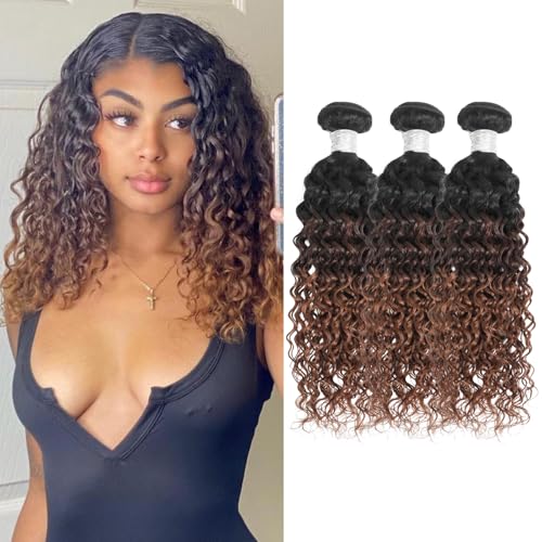 12A Ombre Human Hair Bundles Water Wave, Chestnut Ombre Brown 100% Remy Human Hair Curly 3 Bundle Wet and Wavy Thick 3 Tone Colored #T1B/2/30 Dark Roots Keep Soft After Washes 10 12 14 Inch