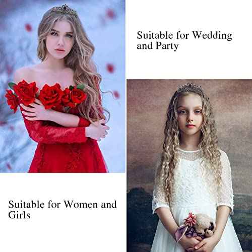 Didder Tiaras for Women, Black Crystal Crowns for Women Princess Crown Tiaras and Crowns for Women Girls Women's Headbands Halloween Christmas Bridal Wedding Prom Birthday Party Gift