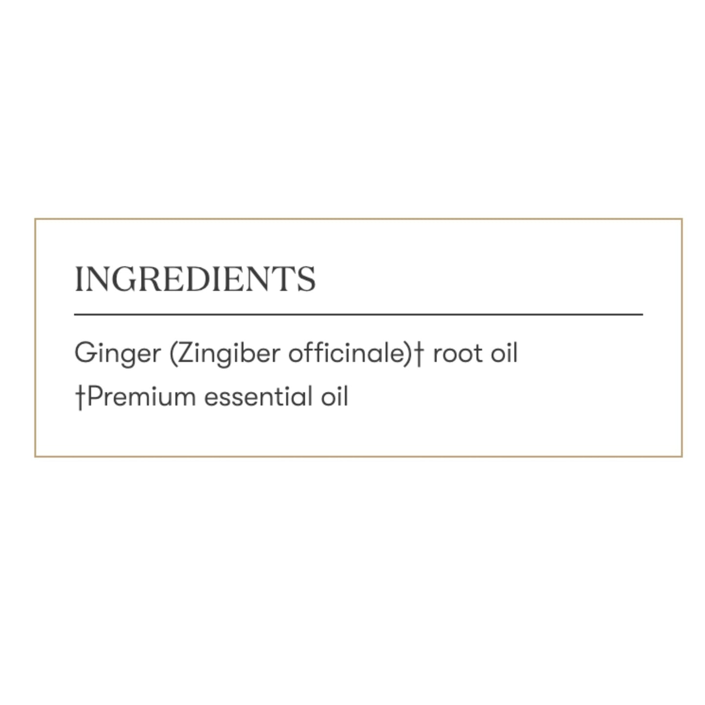 Young Living Ginger Vitality Essential Oil 5ml - Spicy Flavor Enhancer for Sweet and Savory Dishes - Digestive System Support - Culinary Aromatherapy for Cooking
