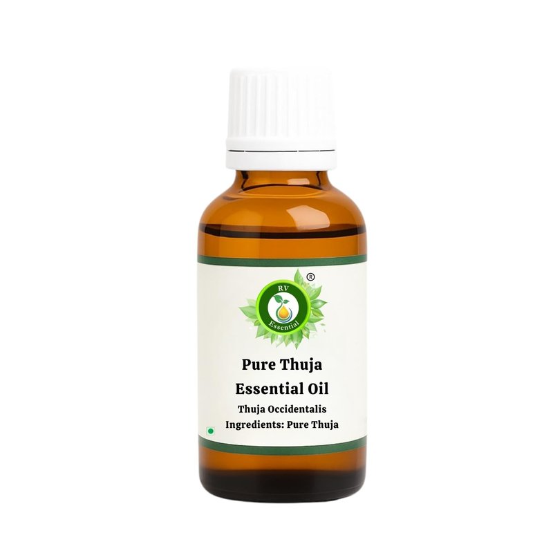 R V Essential Pure Thuja Essential Oil 30ml (1.01oz)- Thuja Occidentalis (100% Pure and Natural Steam Distilled)