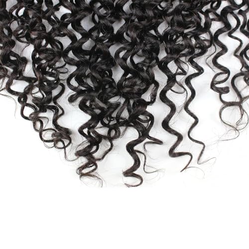Dreambeauty Transparent Lace Color 13¡¿6" Lace Frontal Closure Kinky Curly Free Part Brazilian Remy Human Hair Pre-Plucked Natural Hairline Lace Frontal Closure with Baby Hair Natural Color (20 Inch)