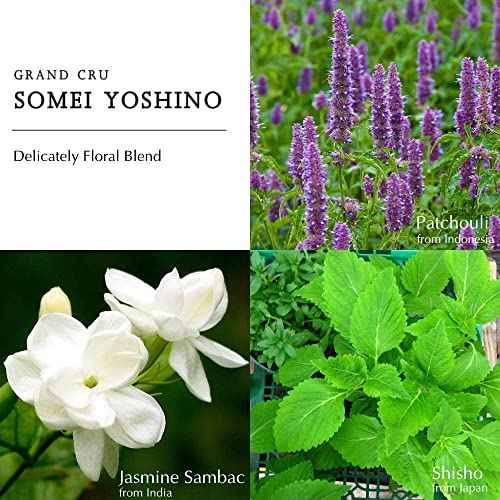 Berdoues Grands Crus Somei Yoshino Eau de Parfum | Floral, Long Lasting Scent Made in France | Spray Fragrance for Women | Luxury Perfume with Premium Quality Ingredients.