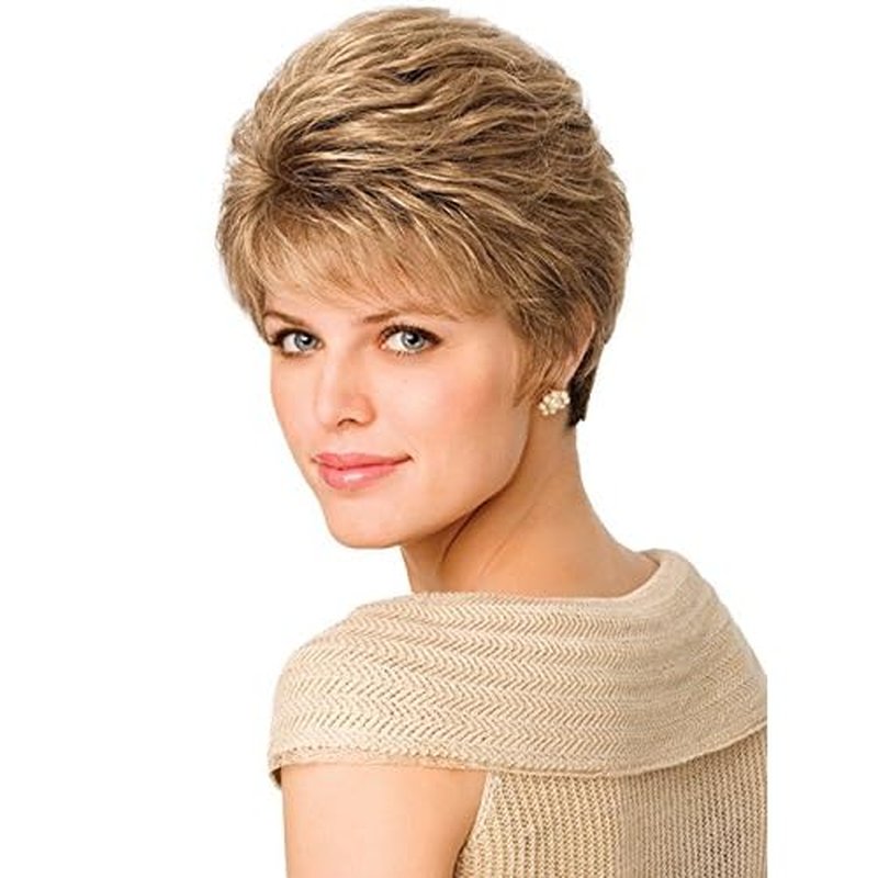hairuwear Eva Gabor Acclaim Short Layered Average Size Comfort Cap Wig, Sugared Smoke