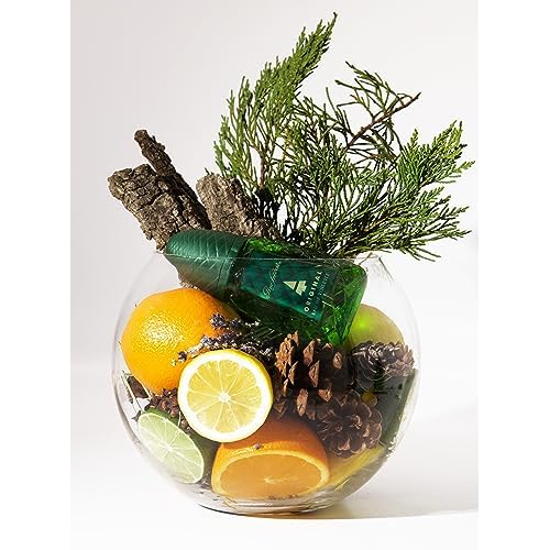 Pino Silvestre Original By Pino Silvestre For Men - A Men's Eau De Toilette Cologne Perfume Spray With A Million Dollar Fragrance - An Extreme Pheromone For The Classic Man In Your Life - 4.2 Oz