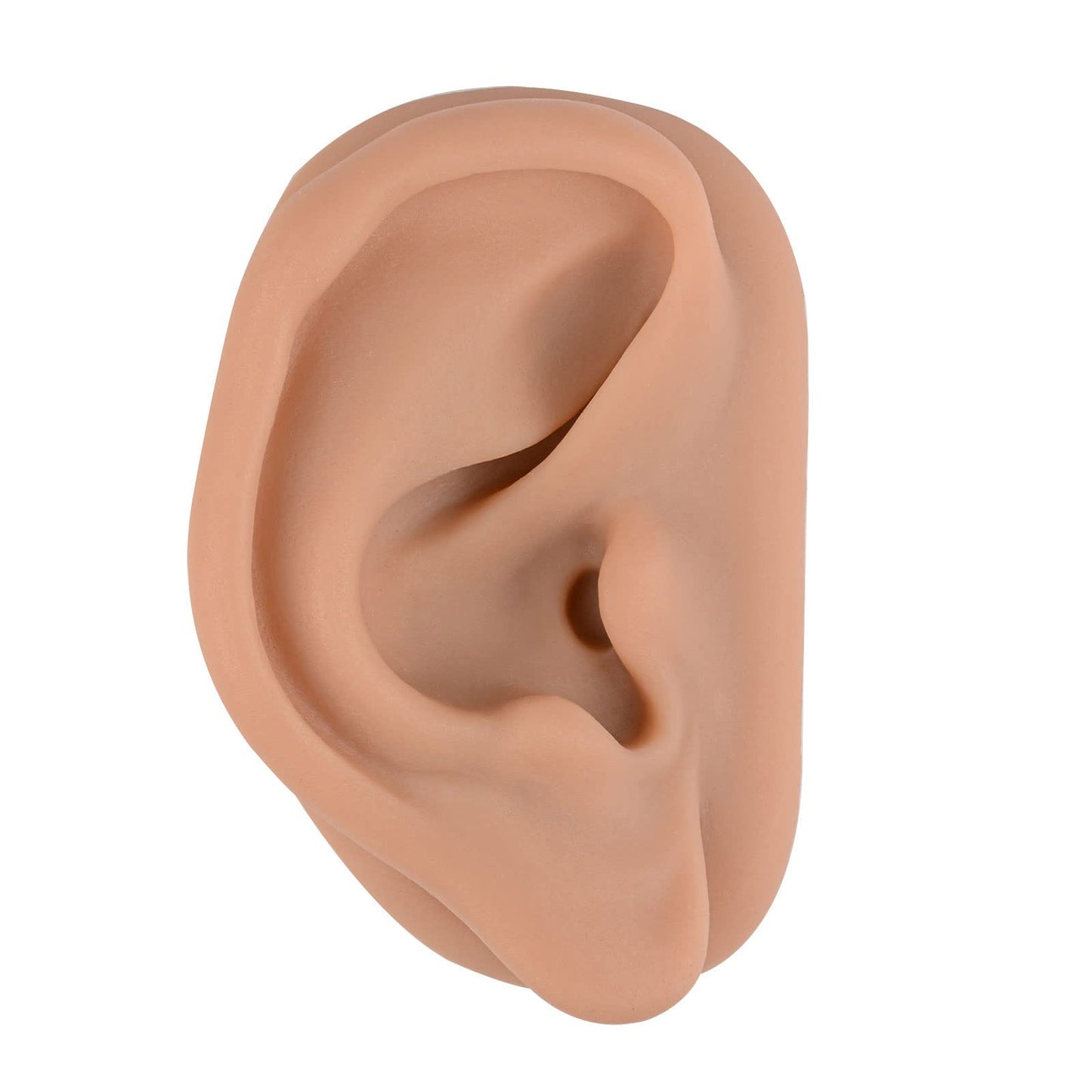 Acupuncture Ear Model, Right Artificial Ear Replica for Auricular Therapy Teaching, Silicone Ear Simulator Acupuncture Practice Authentic Human Ear Simulation