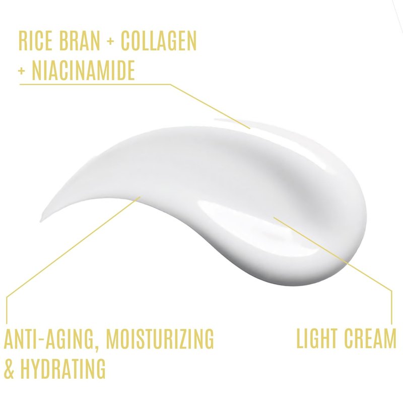 VIGDERMA Rice Facial Light Cream 1.7oz, Rice Bran Essence with Collagen, Niacinamide, Vitamin C, Glowing Look, Improves Moisture Skin Barrier, Nourishes Deeply, K Beauty