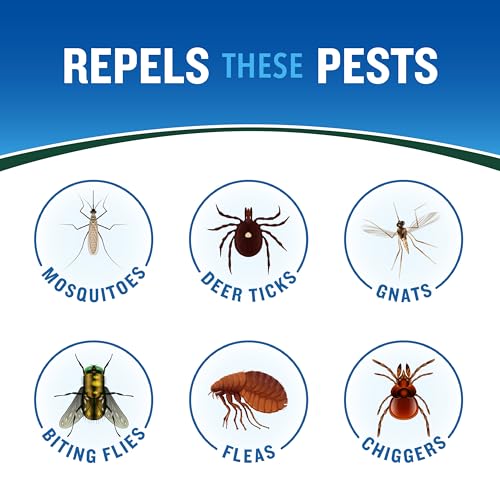 Cutter Backwoods Dry Insect Repellent, Aerosol, 4-Ounce