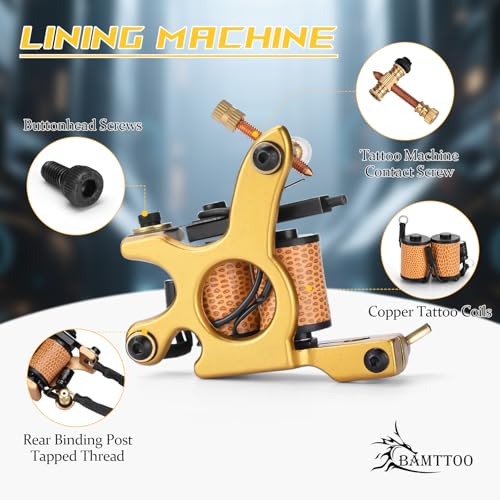 Complete Tattoo Coil Machine Kit 2 Sets Tattoo Gun Liner Shader Coils Machine Tattoo Power Supply Needles Tips for Beginners Artists