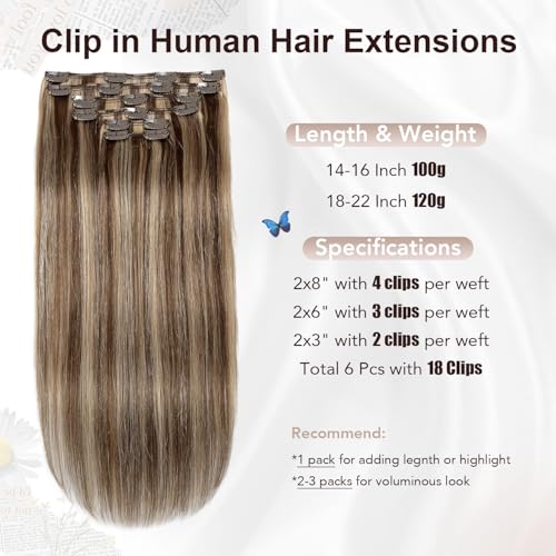 XDhair Clip In Hair Extensions Remy Human Hair 100g 6Pcs Medium Brown #4 Mixed to Caramel Blonde #27 Clip In Real Hair Extensions Silk Stright (#4P27,14Inch)