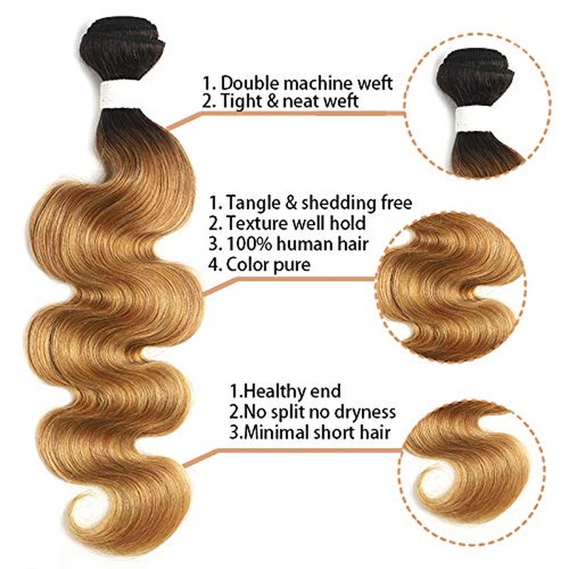 X-TRESS 1b/27 Human Hair Bundles 1 Bundle Ombre Honey Blonde Body Wave Brazilian Hair Weave 100% Human Hair Extensions Bundles Ombre Color 27 Hair Weave(26Inch,T1B/27)